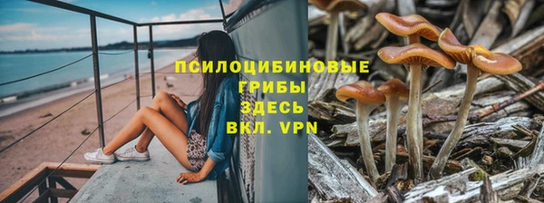 первитин Алексеевка