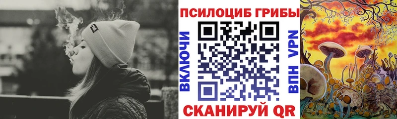 купить   Магнитогорск  Галлюциногенные грибы ЛСД 